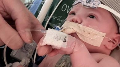 Astonishing Outcome: World's first partial heart grown inside child 