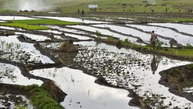 Climate change endangers earth's largest freshwater reserves 