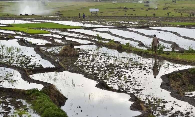 Climate change endangers earth's largest freshwater reserves 