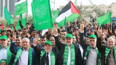 How does the Muslim Brotherhood exploit the events in Gaza for its personal interests? 