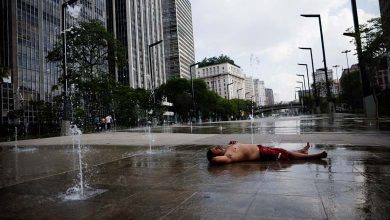 European Cities Record a Record High in Temperature 