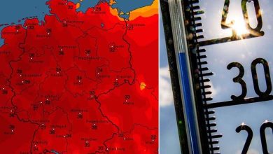 German meteorological service: Temperature rose by two degrees in 2023 