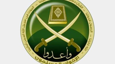 How did the Muslim Brotherhood exploit the political circumstances to seize power and reap profits?