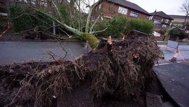 Hurricane "Gerrit" hits Britain, and the results are tragic 