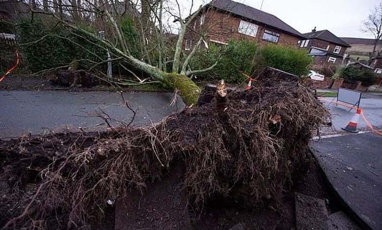 Hurricane "Gerrit" hits Britain, and the results are tragic 