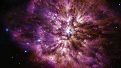 NASA Telescopes Begin the Year by Monitoring a Double Explosion 