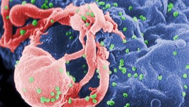 New Hope for AIDS Patients: Effectiveness of Antibodies Fighting the Virus 