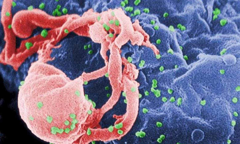 New Hope for AIDS Patients: Effectiveness of Antibodies Fighting the Virus 