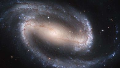 Savage Galaxy Merger revealed by Hubble 