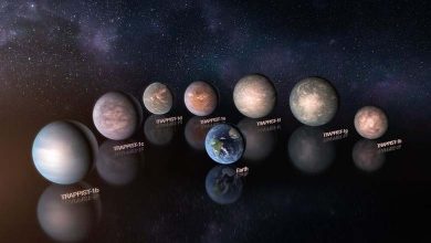 Strangest Planets Discovered Outside the Solar System in 2023