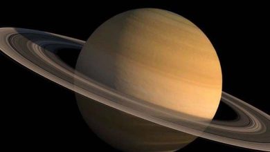 "James Webb" contributes to deciphering the chemical code of the "Hot Saturn" planet 