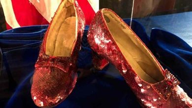 3.5 million dollars... Prison for Thief of America's Most Expensive Cinema Shoe 