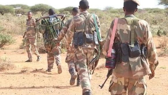 Continued Terrorism Confrontation by Somalia Against Al-Shabaab