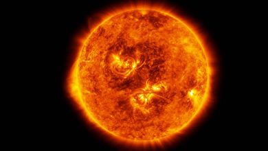 Scientists Discover "False Star" Devouring Sun Daily