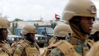 Killing of Emirati soldiers in "terrorist act" in Somalia