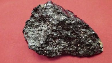 Resembling 'Gray Granite'... Identifying the Identity of Meteorites that Fell in Germany Days Ago