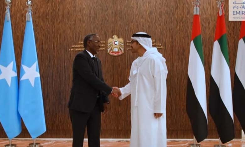 Role of the UAE in Somalia: Rescue Efforts for "Land of the Seas" from Terrorist Threat