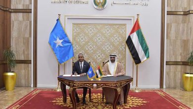 Somalia's Efforts with the Assistance of the United Arab Emirates in Combating Terrorism