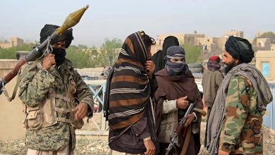 The Muslim Brotherhood and the Taliban: What are the similarities and parallels between the two organizations?