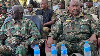 The thwarting of the coup attempt reveals the extent of the disagreements within the army