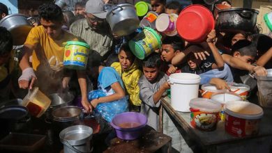 UN Warns: One Quarter of Gaza's Population One Step Away from Famine