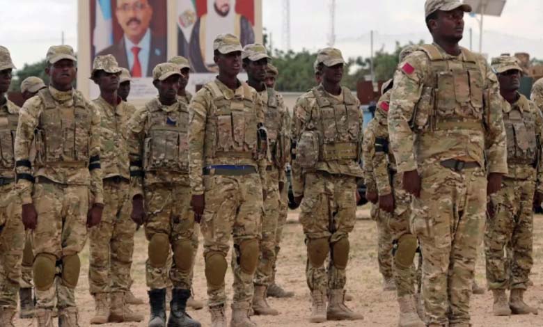 Continuous Struggle Against Terrorism: The UAE Supports Somalia's Stability