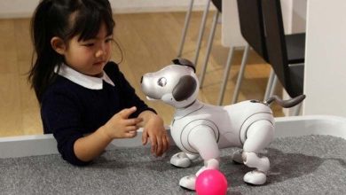 Will Pet Robots Replace Dogs?