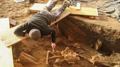 Discovery of Europe's Largest Mass Burial Site, 'Plague Grave'