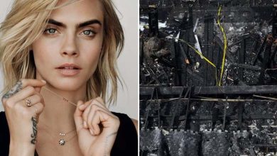 Fire Engulfs Cara Delevingne's Home in Los Angeles