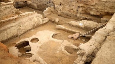 Archaeologists Discover Oldest Known Bread in the World