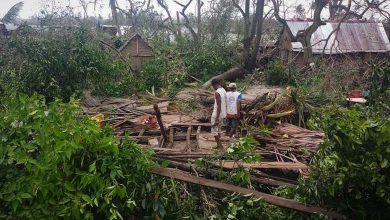 Tropical Cyclone "Gomani" Hits Madagascar Causing Fatalities and Severe Damage