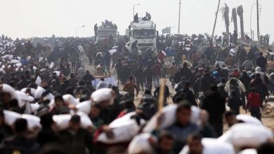 Tragic Disaster... Witnesses of the Flour Massacre Describe Scenes of Horror, Chaos, and Death in Gaza