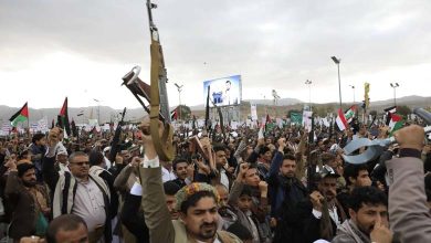 "Deadly Pesticides"... Houthis Launch Repression Campaign to Silence Activists