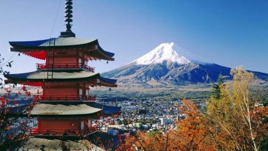 A Japanese town bans tourists from seeing Mount Fuji due to their "disturbance"