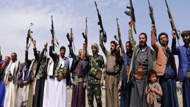 How did the Houthi-Muslim Brotherhood coalition systematically destroy the healthcare sector in Yemen?