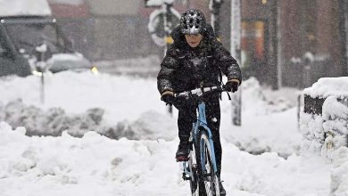 A Spring Snowstorm Hits Sweden