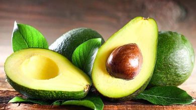 "Avocado" Threatened with Extinction