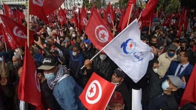 "The Tunisian Brotherhood Move"... The Buzz of Rumors Precedes Elections