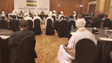 48 Parties and Movements Declare "Sudan Charter" from Cairo