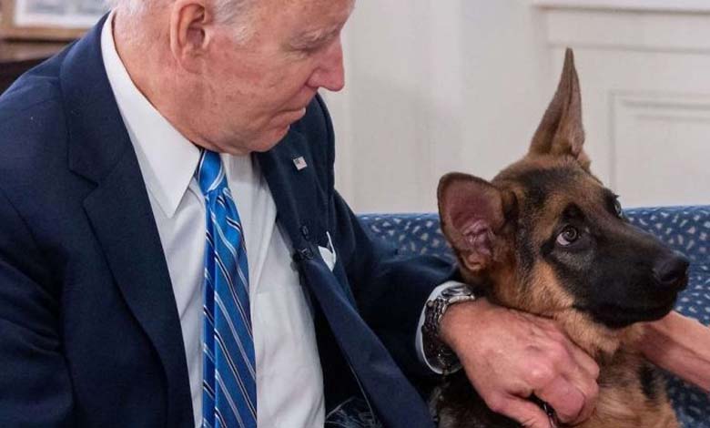 A Republican Suggests Eliminating Biden's Dog