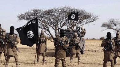Has Terrorism Penetrated Africa to Plunder Its Wealth?