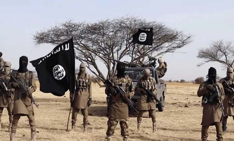 Has Terrorism Penetrated Africa to Plunder Its Wealth?