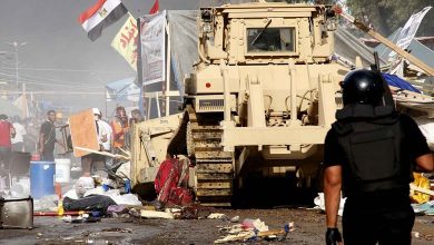 Lies and Allegations: The Muslim Brotherhood Exploits the Palestinian Issue to Undermine Egypt's Image
