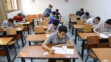 No One Passed: Mass Failure in an Egyptian School Sparks Controversy