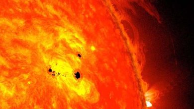 Active Sunspot Raises Scientists' Concerns