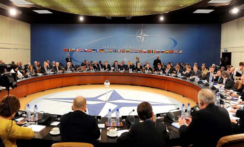 Arab Countries Including UAE and Egypt Invited to NATO Meeting in Washington
