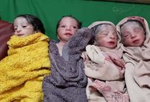 Argentine Mother Gives Birth to Quadruplets and Receives a Pleasant Surprise