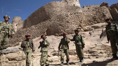 Blood Alliance: New Deal Between Houthis and Al-Qaeda to Destabilize Liberated Areas