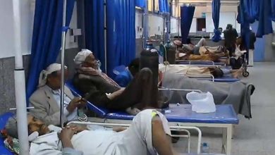 Chaos of Houthis and Muslim Brotherhood... Terrifying diseases and epidemics ravage Yemen