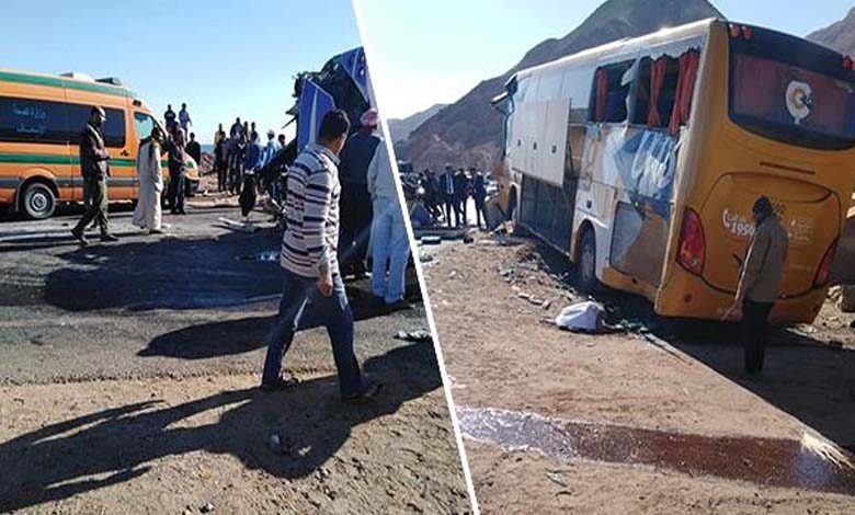 Due to a Camel: 34 Injured in a Bus Overturn Accident in Egypt